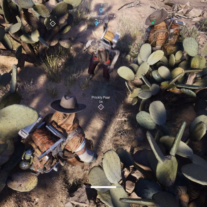 ARC Raiders Prickly Pear